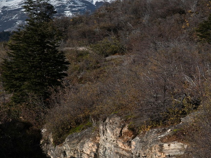 Foto: Walter Alvial