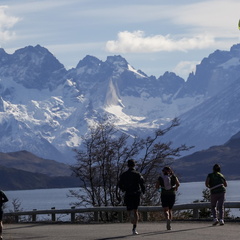 Foto: Alejandro Zoñez