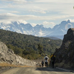 Foto: Ariel Traipe