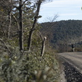Foto: Ariel Traipe