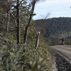 Foto: Ariel Traipe