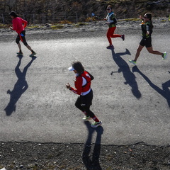 Foto: Alejandro Zoñez