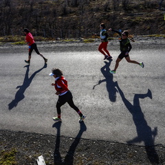 Foto: Alejandro Zoñez