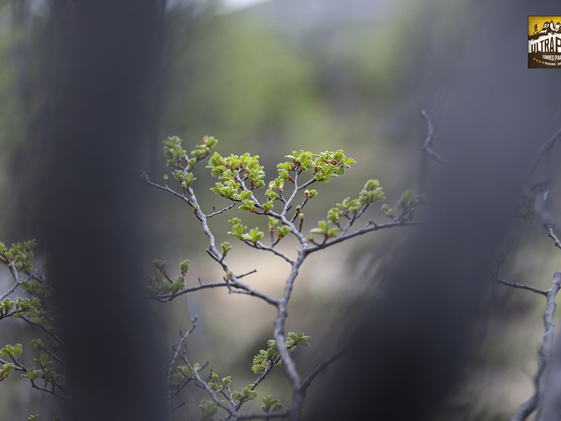 Foto: Christian Miranda