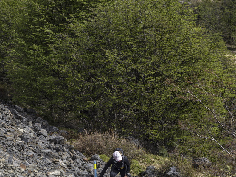 Foto: Javier Aguilar