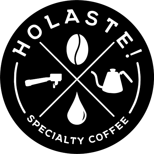 Logo Holaste