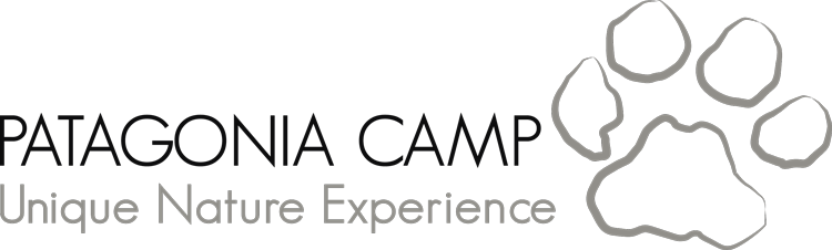 Logo Patagonia Camp